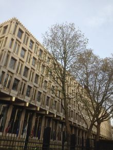 London Plane crown reduction in West London.jpg London Plane crown reduction in West London.jpg