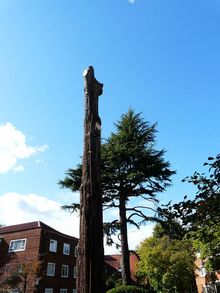 Tree surgery in Ealing, West London W5. Fell Large standind stem to ground level..jpg Tree surgery in Ealing, West London W5. Fell Large standind stem to ground level..jpg